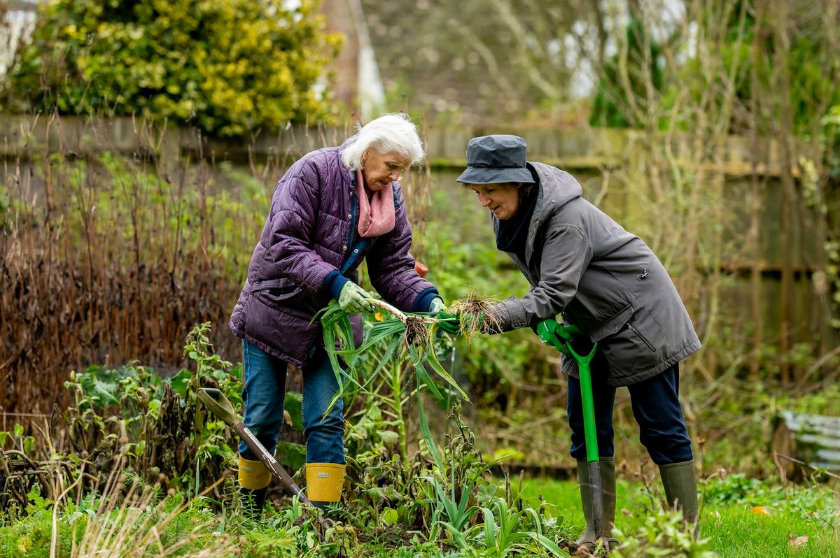 Dos personas mayores cuidando el jardín